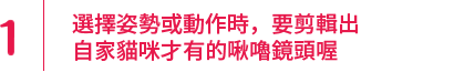 選擇姿勢或動作時，要剪輯出自家貓咪才有的啾嚕鏡頭喔