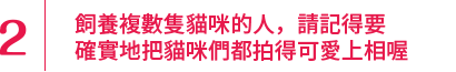 飼養複數隻貓咪的人，請記得要確實地把貓咪們都拍得可愛上相喔